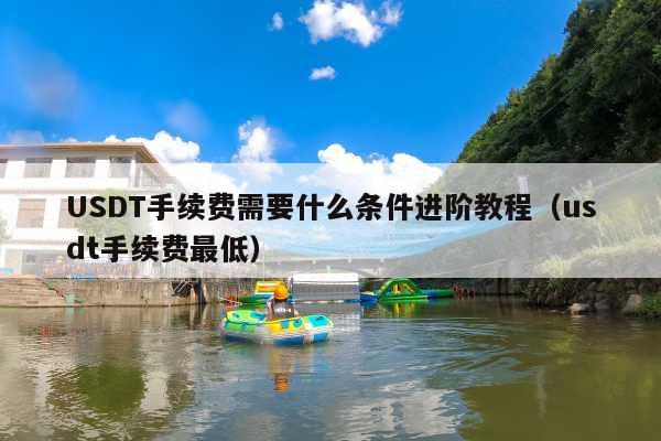 USDT手续费需要什么条件进阶教程(usdt手续费最低)