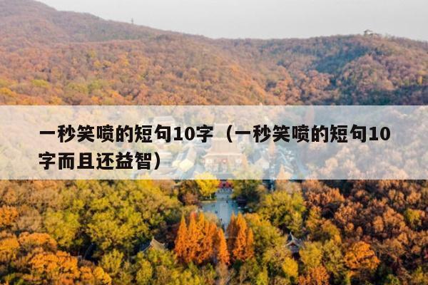 一秒笑喷的短句10字(一秒笑喷的短句10字而且还益智)