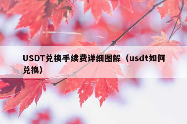 USDT兑换手续费详细图解(usdt如何兑换)