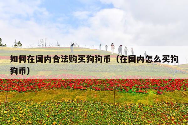 如何在国内合法购买狗狗币(在国内怎么买狗狗币)