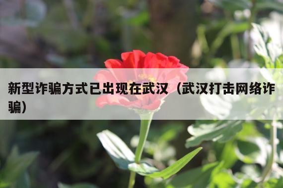 新型诈骗方式已出现在武汉(武汉打击网络诈骗)