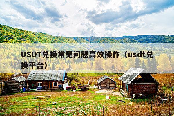 USDT兑换常见问题高效操作(usdt兑换平台)