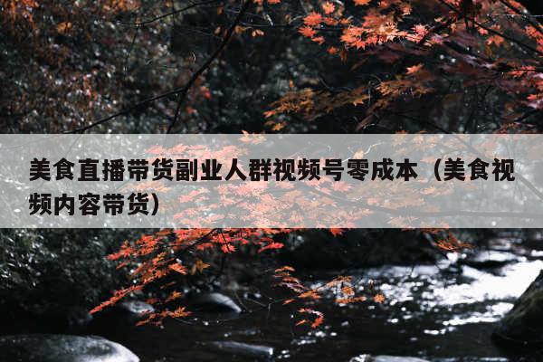 美食直播带货副业人群视频号零成本(美食视频内容带货)