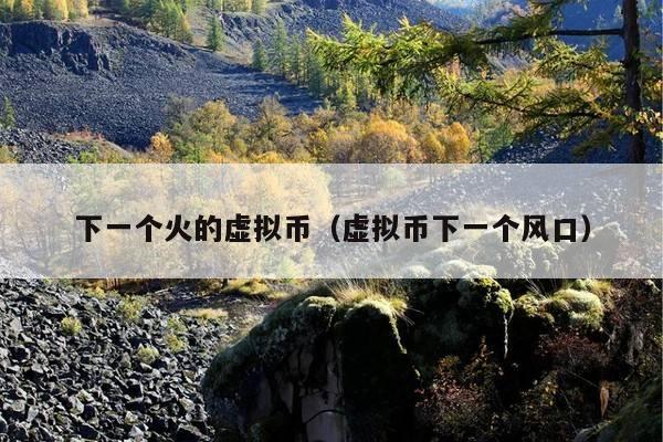 下一个火的虚拟币(虚拟币下一个风口)