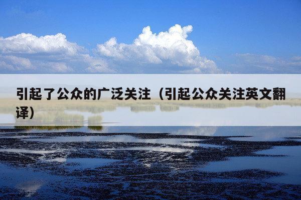 引起了公众的广泛关注(引起公众关注英文翻译)