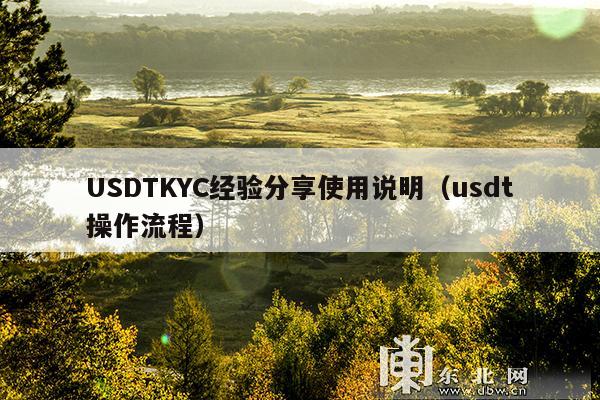 USDTKYC经验分享使用说明(usdt操作流程)