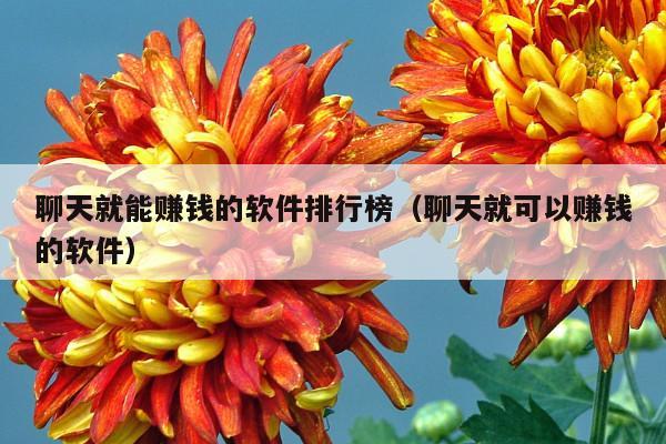 聊天就能赚钱的软件排行榜(聊天就可以赚钱的软件)