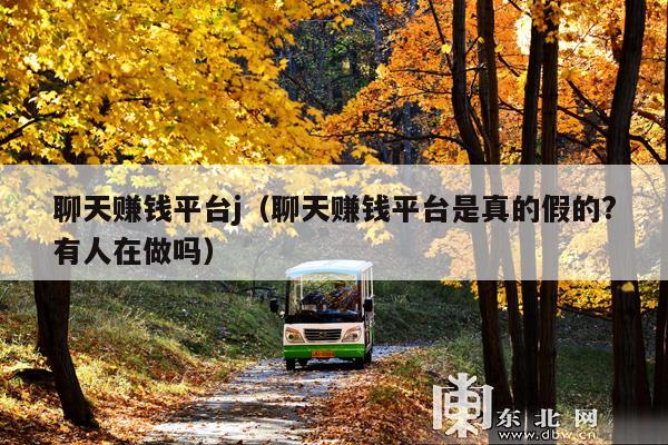 聊天赚钱平台j(聊天赚钱平台是真的假的?有人在做吗)