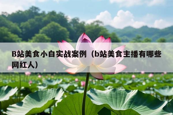 B站美食小白实战案例(b站美食主播有哪些网红人)
