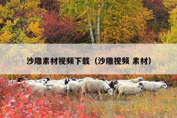 沙雕素材视频下载(沙雕视频 素材)