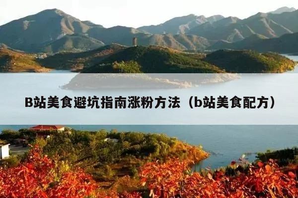 B站美食避坑指南涨粉方法(b站美食配方)