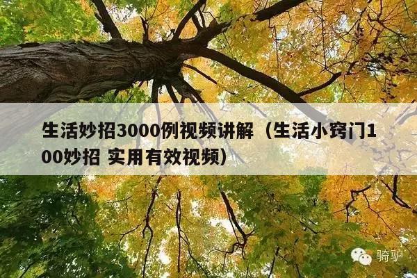 生活妙招3000例视频讲解(生活小窍门100妙招 实用有效视频)