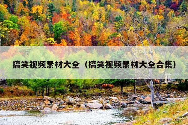 搞笑视频素材大全(搞笑视频素材大全合集)