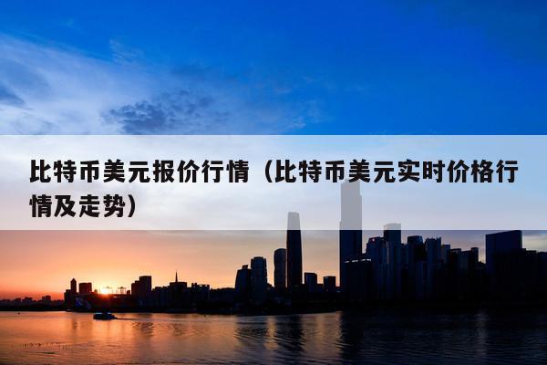 比特币美元报价行情(比特币美元实时价格行情及走势)