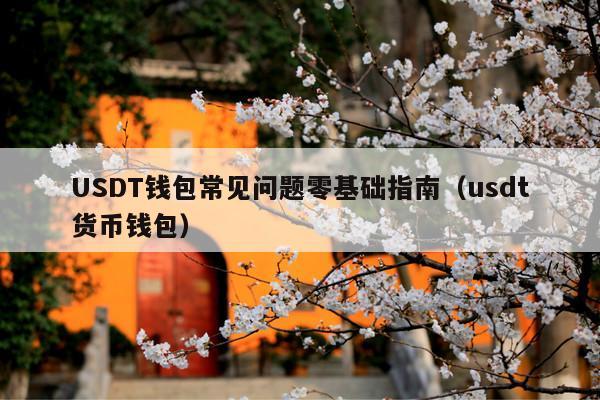 USDT钱包常见问题零基础指南(usdt货币钱包)