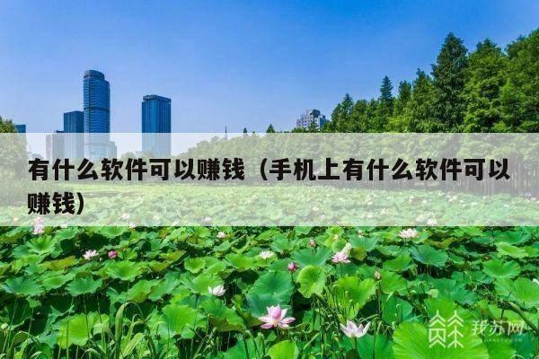 有什么软件可以赚钱(手机上有什么软件可以赚钱)