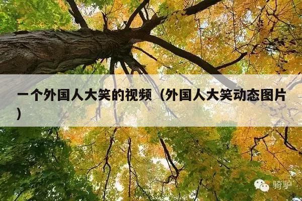 一个外国人大笑的视频(外国人大笑动态图片)