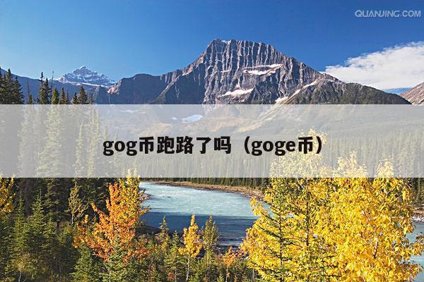 gog币跑路了吗(goge币)