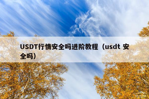 USDT行情安全吗进阶教程(usdt 安全吗)