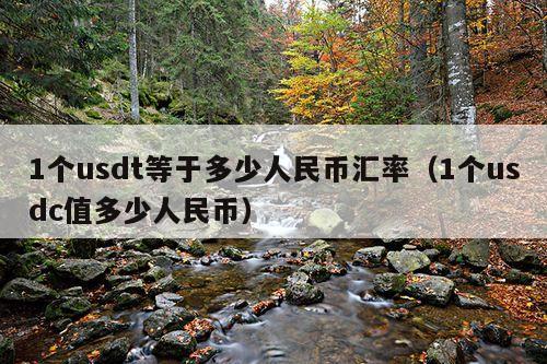 1个usdt等于多少人民币汇率(1个usdc值多少人民币)