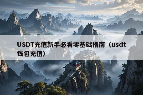USDT充值新手必看零基础指南(usdt钱包充值)