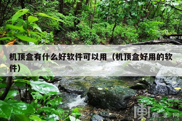 机顶盒有什么好软件可以用(机顶盒好用的软件)