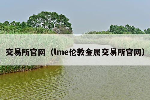 交易所官网(lme伦敦金属交易所官网)
