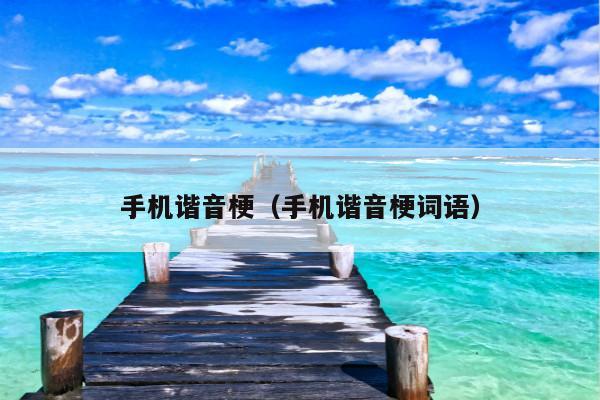 手机谐音梗(手机谐音梗词语)