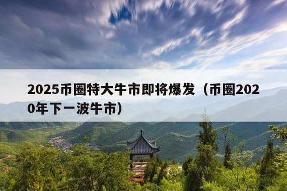2025币圈特大牛市即将爆发(币圈2020年下一波牛市)