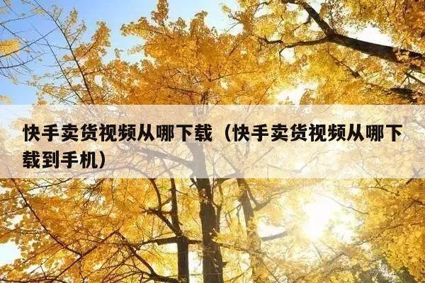快手卖货视频从哪下载(快手卖货视频从哪下载到手机)